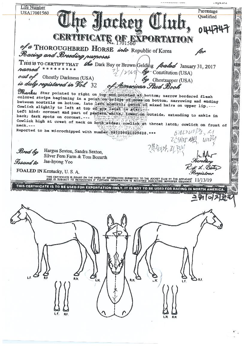 Å©·¹ÀÌÁöÄÜÆ¼ÀÇ Ãø¸é,¿ì¸é,µÞ¸é,µÎ»ó,´Ù¸®ÀÇ Æ¯Â¡µµÇØ