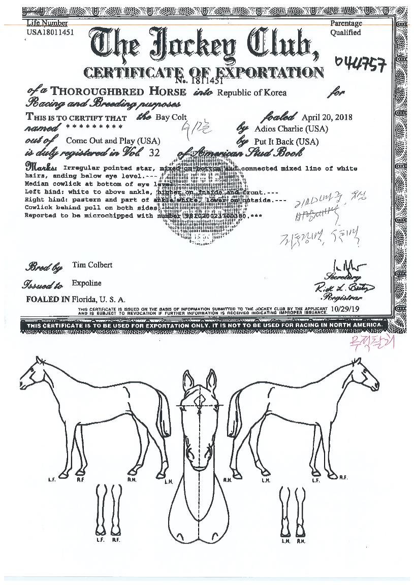 ¹«ÀûÂû¸®ÀÇ Ãø¸é,¿ì¸é,µÞ¸é,µÎ»ó,´Ù¸®ÀÇ Æ¯Â¡µµÇØ