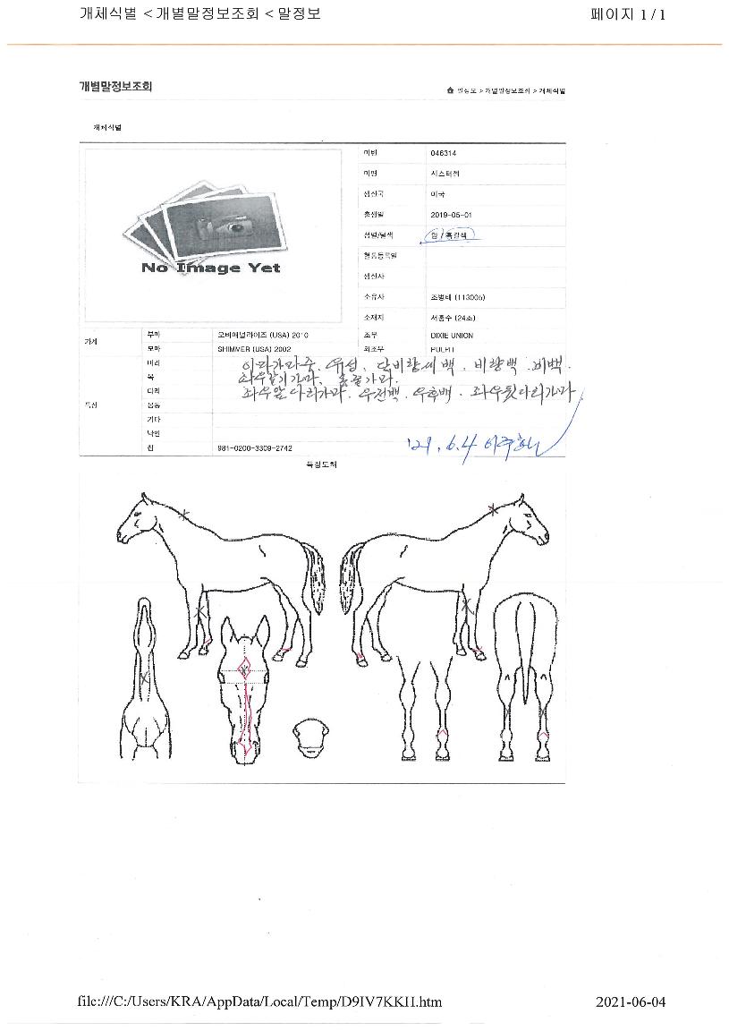 ½Ã½ºÅÍÁªÀÇ Ãø¸é,¿ì¸é,µÞ¸é,µÎ»ó,´Ù¸®ÀÇ Æ¯Â¡µµÇØ