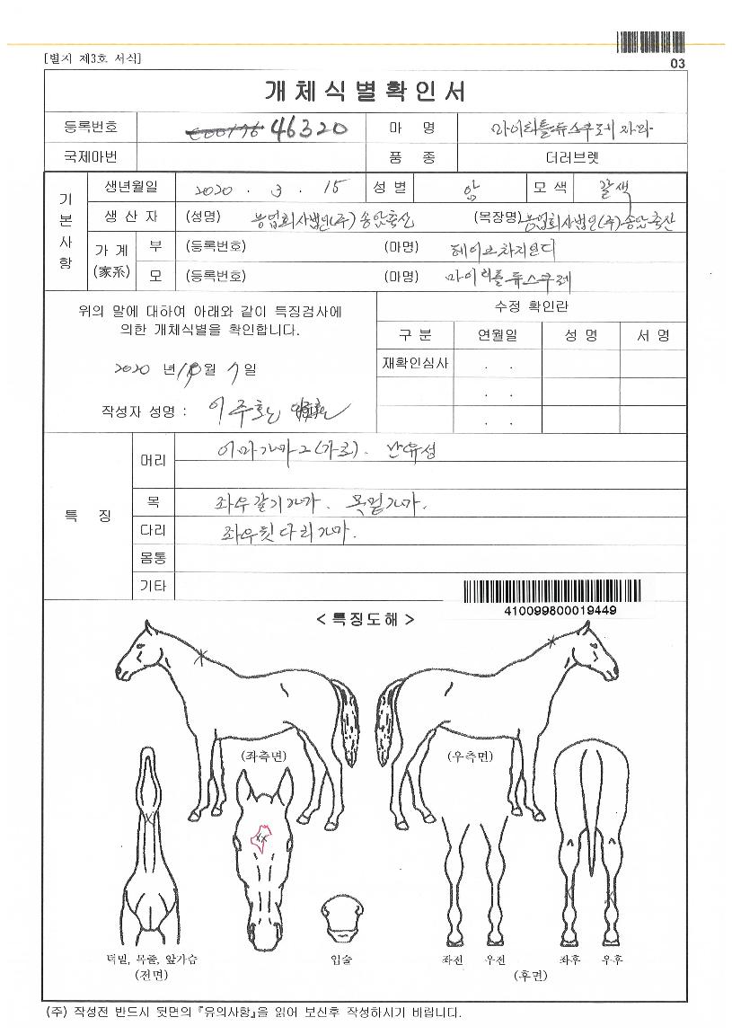 ½ºÆä¼È·ÎµåÀÇ Ãø¸é,¿ì¸é,µÞ¸é,µÎ»ó,´Ù¸®ÀÇ Æ¯Â¡µµÇØ