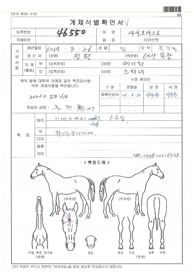 »õ³»Æ÷·¹½ºÆ®ÀÇ Ãø¸é,¿ì¸é,µÞ¸é,µÎ»ó,´Ù¸®ÀÇ Æ¯Â¡µµÇØ