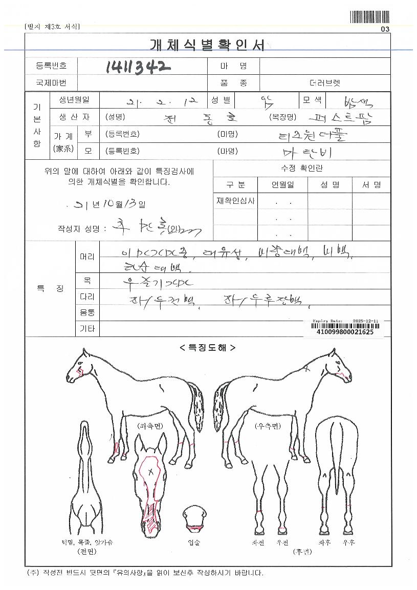 ȣȣ¹ÙÀÇ Ãø¸é,¿ì¸é,µÞ¸é,µÎ»ó,´Ù¸®ÀÇ Æ¯Â¡µµÇØ