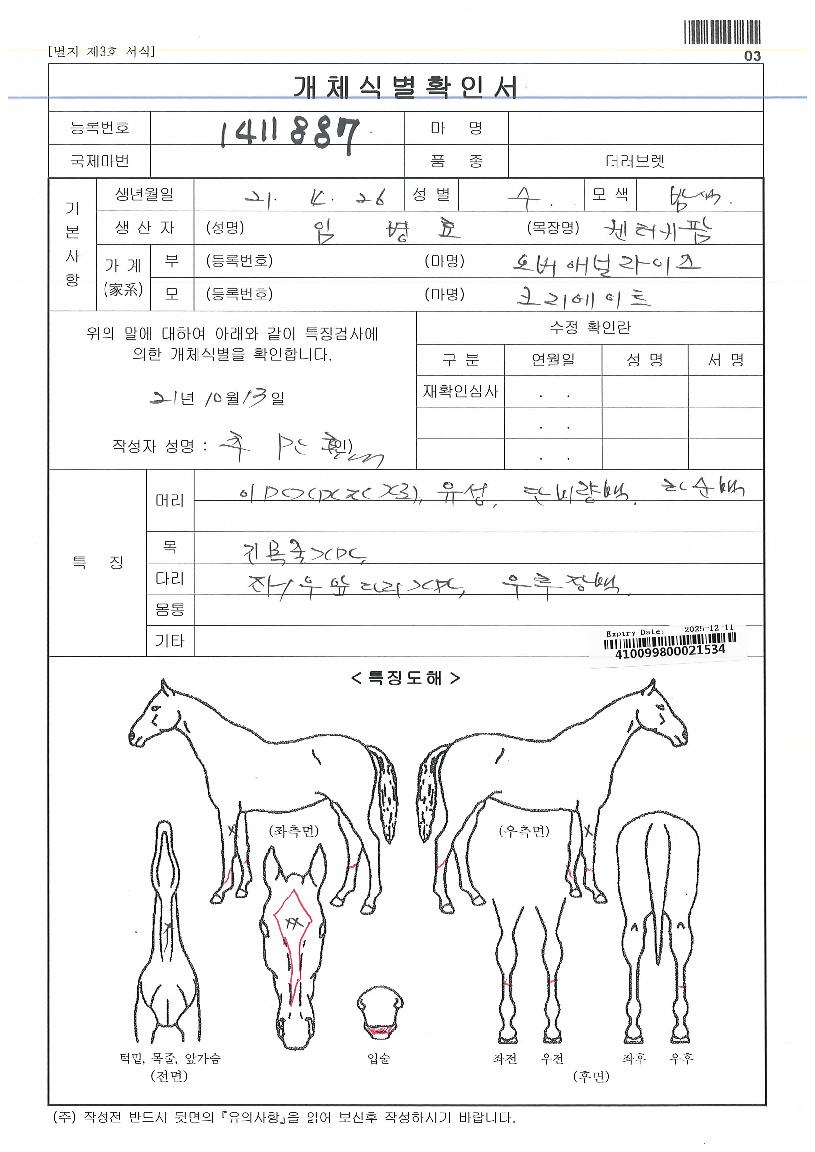 ³»ÆíÀÇ Ãø¸é,¿ì¸é,µÞ¸é,µÎ»ó,´Ù¸®ÀÇ Æ¯Â¡µµÇØ