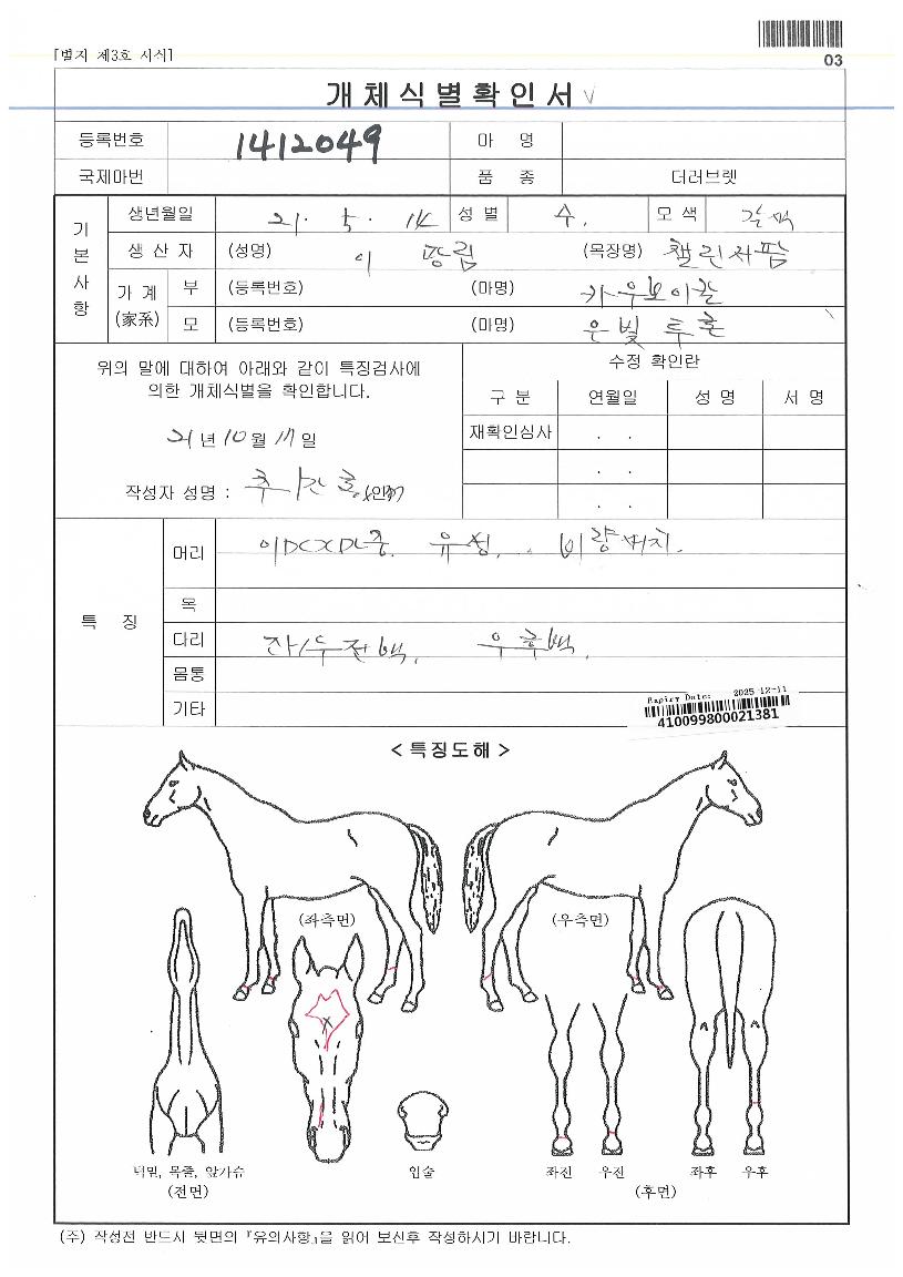 ĸƾ¿¡ºê¸®½ÌÀÇ Ãø¸é,¿ì¸é,µÞ¸é,µÎ»ó,´Ù¸®ÀÇ Æ¯Â¡µµÇØ