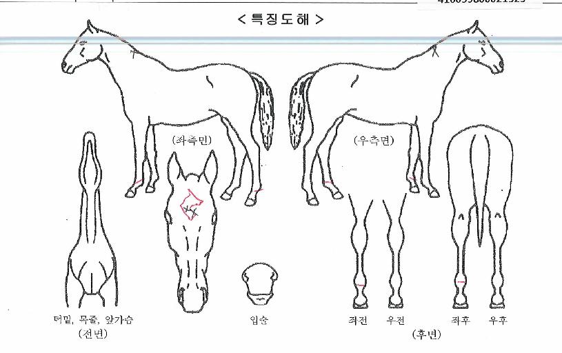 »ê»ïÀºÇÔ¾çÀÇ Ãø¸é,¿ì¸é,µÞ¸é,µÎ»ó,´Ù¸®ÀÇ Æ¯Â¡µµÇØ