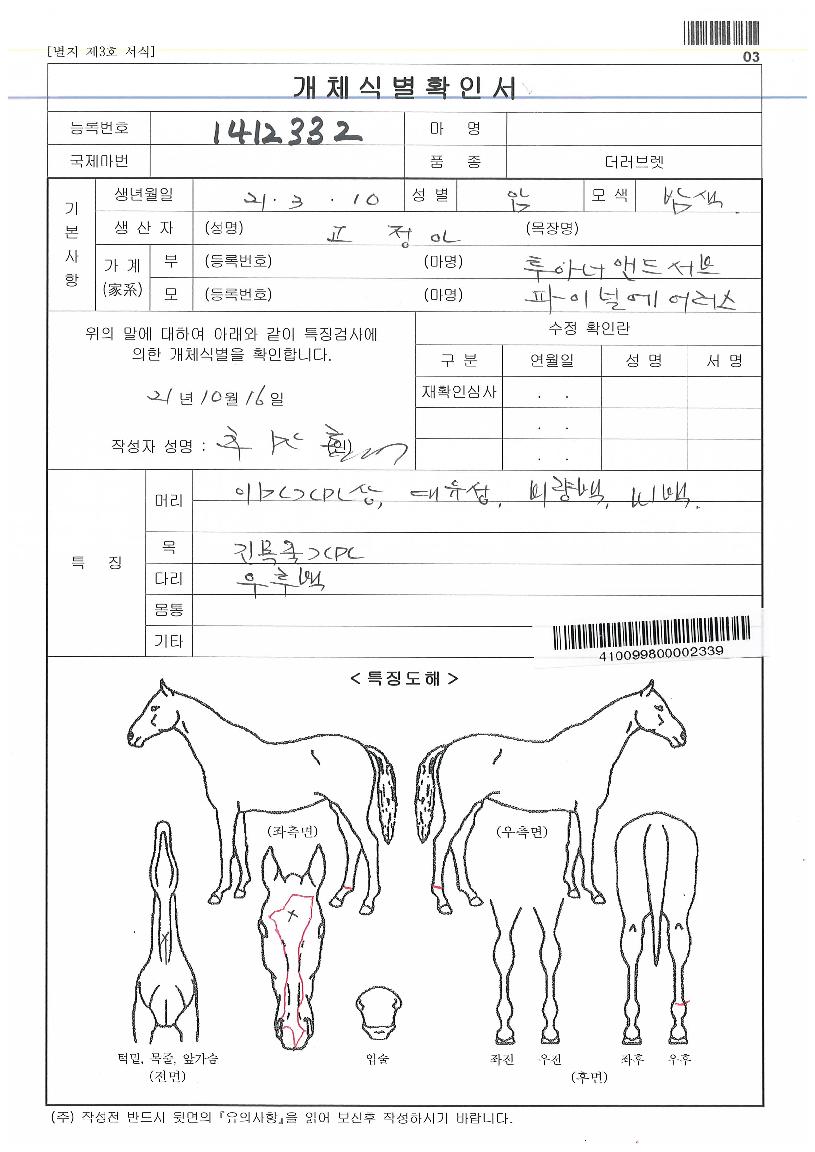 ºñÄÉÀÌ¿ö¸®¾îÀÇ Ãø¸é,¿ì¸é,µÞ¸é,µÎ»ó,´Ù¸®ÀÇ Æ¯Â¡µµÇØ