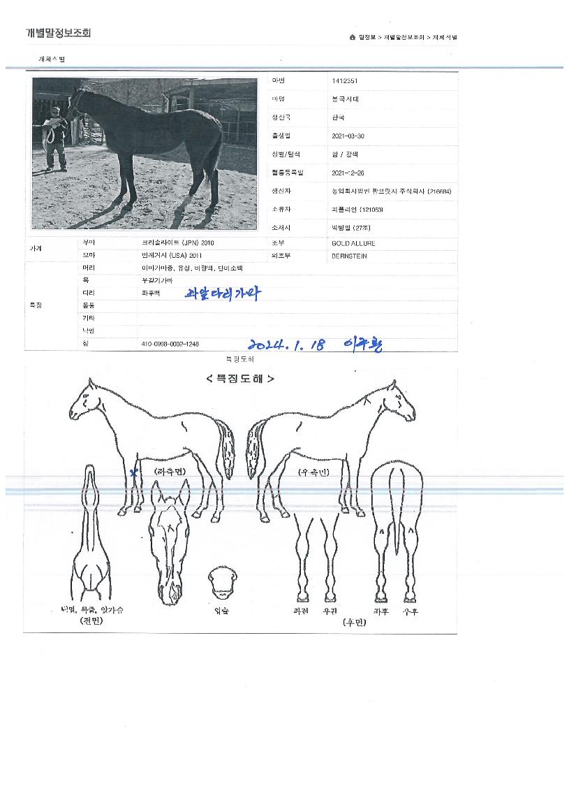 ºÒ±¹½Ã´ëÀÇ Ãø¸é,¿ì¸é,µÞ¸é,µÎ»ó,´Ù¸®ÀÇ Æ¯Â¡µµÇØ