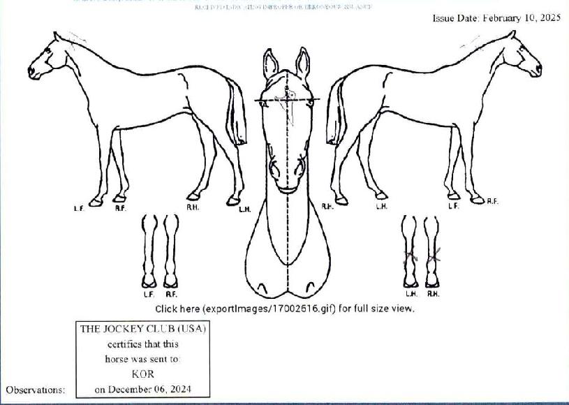 ¾Æ½ºÅ丮¾ÆÅ°Æ°ÀÇ Ãø¸é,¿ì¸é,µÞ¸é,µÎ»ó,´Ù¸®ÀÇ Æ¯Â¡µµÇØ