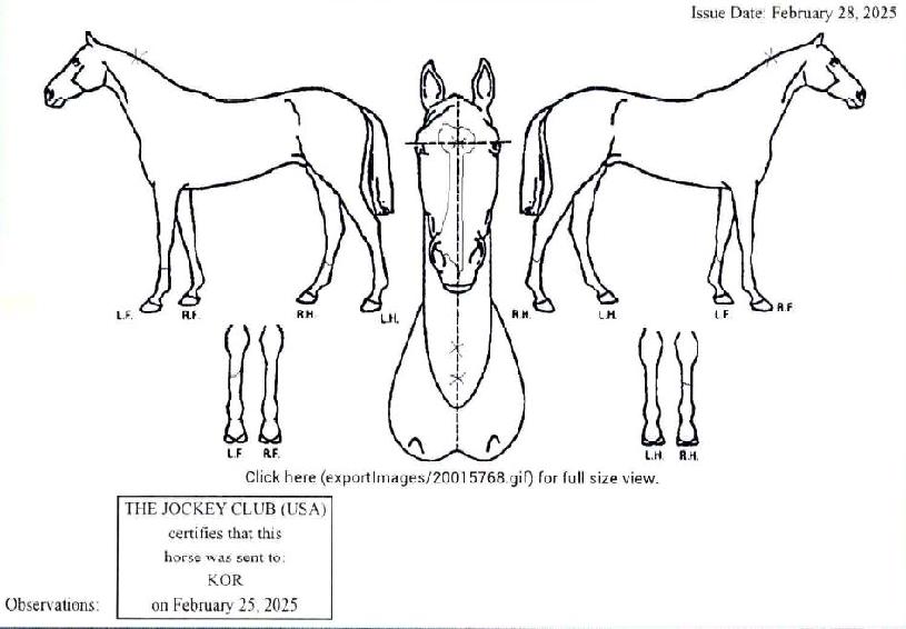 ½ºÅÚ¶ó³ë¹ÙÀÇ Ãø¸é,¿ì¸é,µÞ¸é,µÎ»ó,´Ù¸®ÀÇ Æ¯Â¡µµÇØ